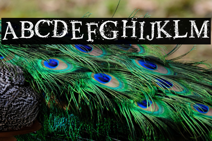 Old Dreams Example 1