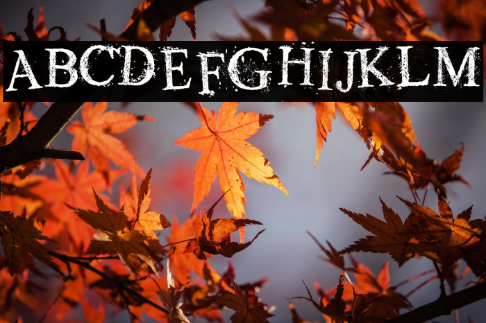 Old Dreams Example 3