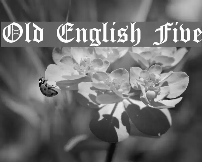 Old English Five Font examples
