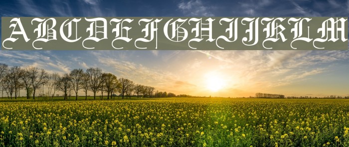 Old English Font examples