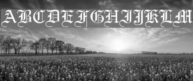 Old English Fonte examples