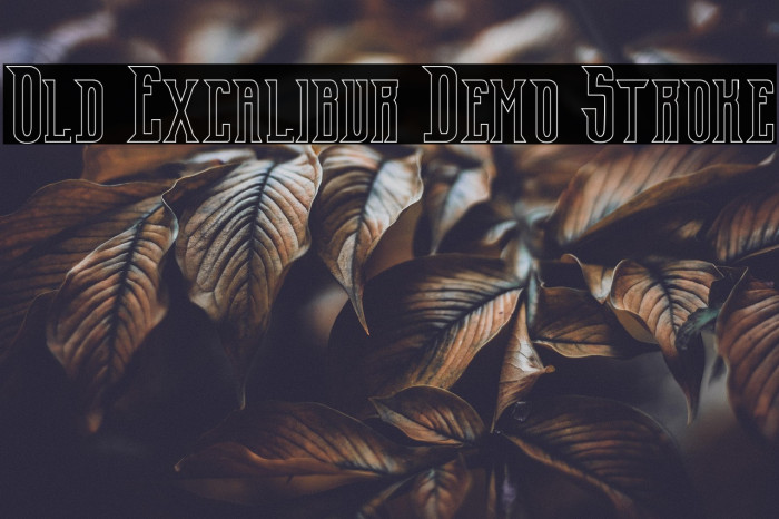 Old Excalibur Demo Stroke Example 2