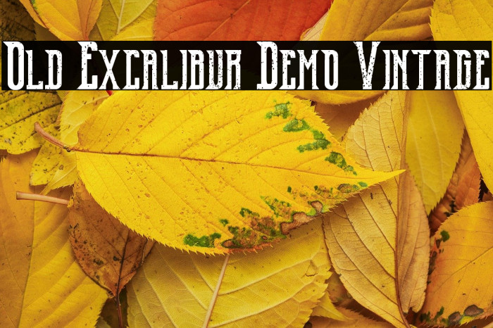 Old Excalibur Demo Vintage Example 1