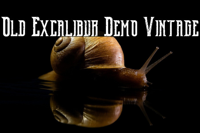 Old Excalibur Demo Vintage Example 2