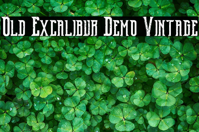 Old Excalibur Demo Vintage Example 3