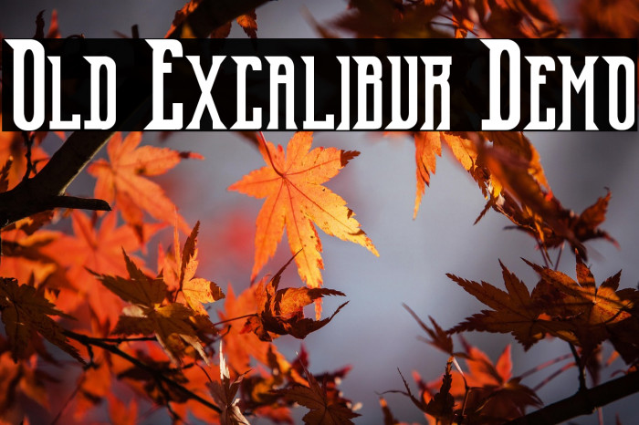 Old Excalibur Demo Example 1