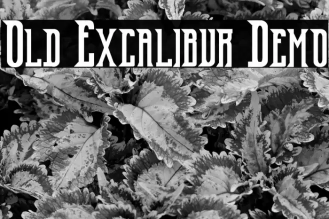Old Excalibur Demo Font examples