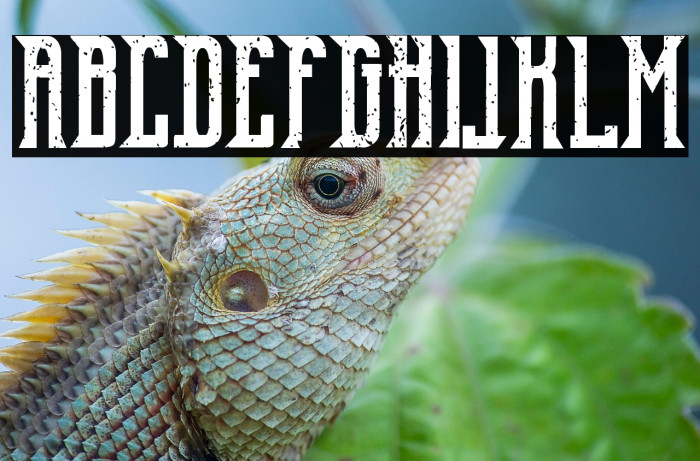 Old Excalibur Vintage Example 1