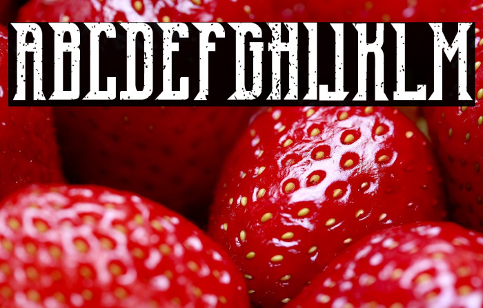 Old Excalibur Vintage Example 3