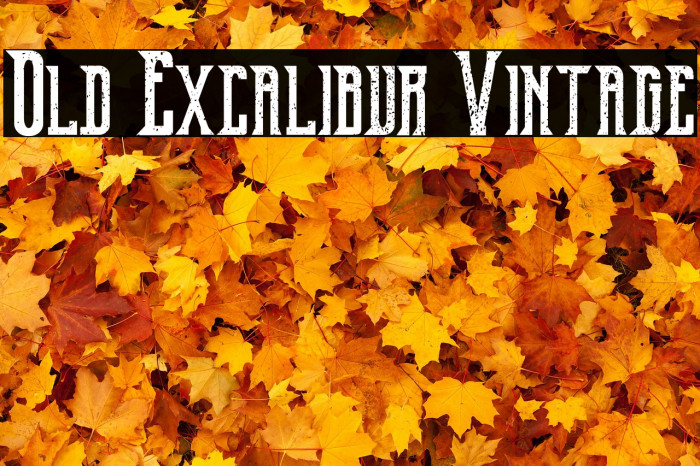 Old Excalibur Vintage Caratteri examples