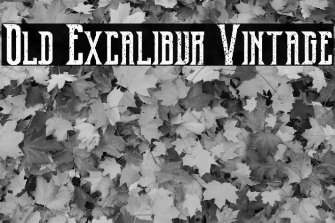 Old Excalibur Vintage Caratteri examples