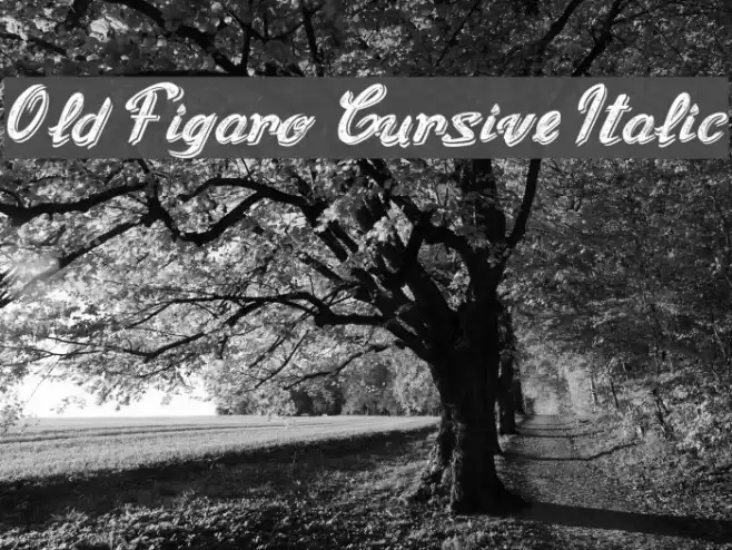 Old Figaro Cursive Italic Font examples
