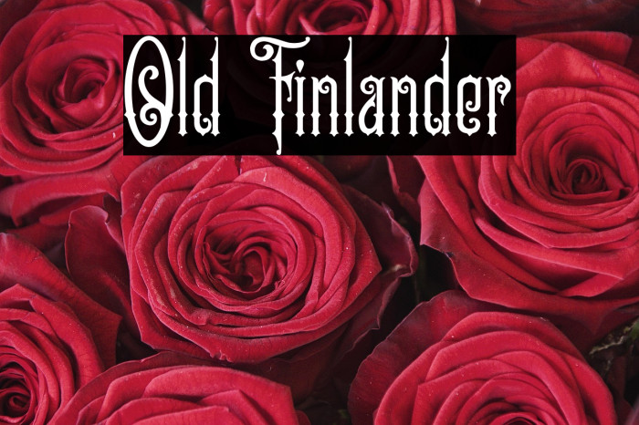 Old Finlander Example 1