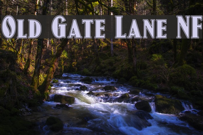 Old Gate Lane NF Font examples