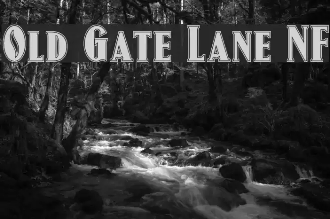 Old Gate Lane NF Polices examples