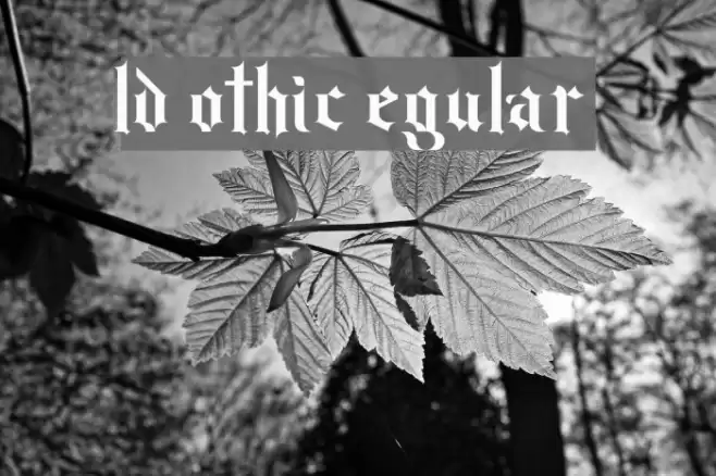 Old Gothic Regular Font examples