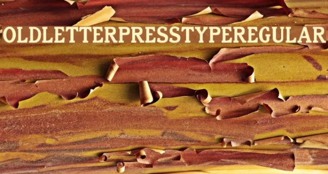 Old Letterpress TypeRegular Example 1