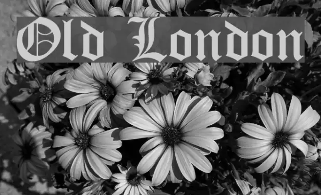 Old London フォント examples