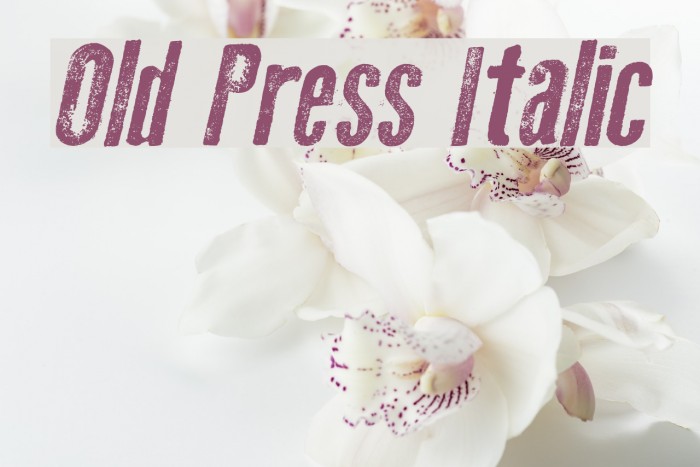 Old Press Italic Font examples