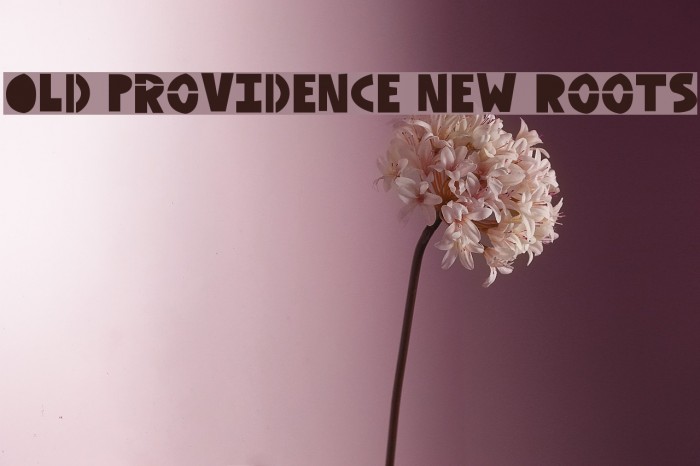Old Providence New Roots Font examples