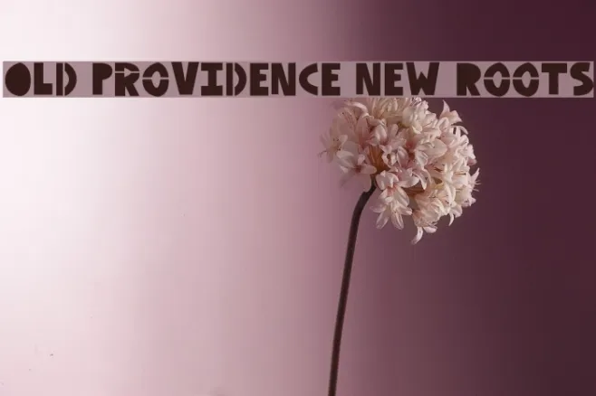 Old Providence New Roots Example 2