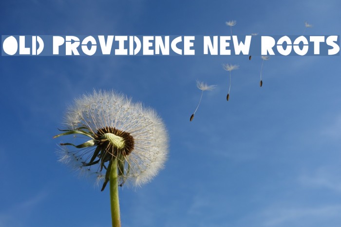 Old Providence New Roots Font examples