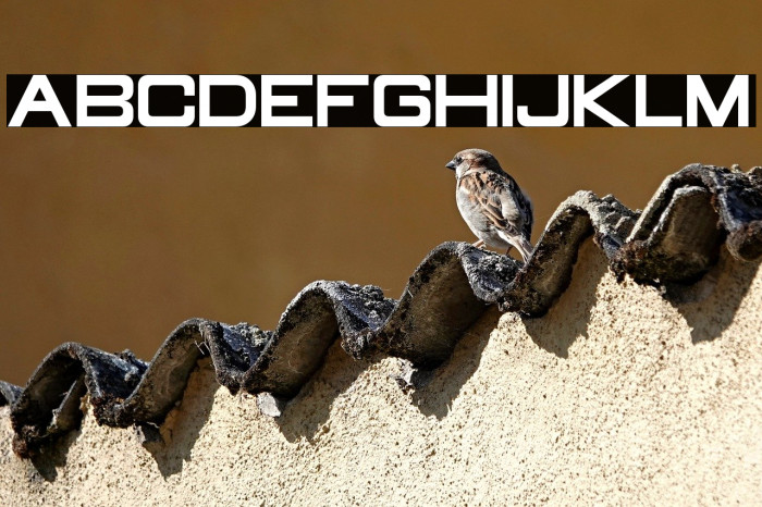 Old Republic Bold Example 3