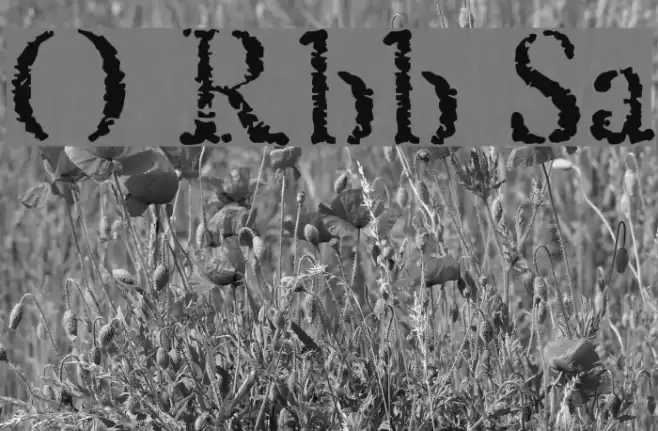 Old Rubber Stamp Font examples