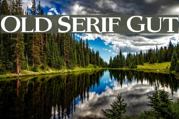 Old Serif Gut Font examples