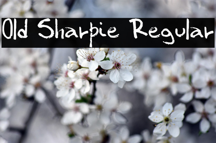 Old Sharpie Regular Example 1