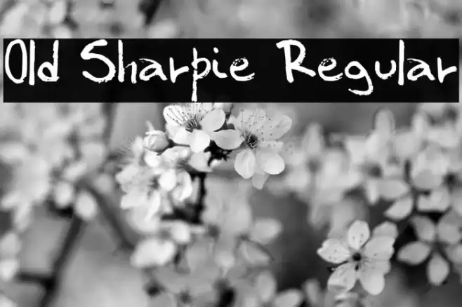 Old Sharpie Regular फ़ॉन्ट examples