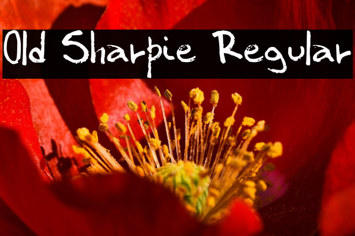 Old Sharpie Regular Example 2