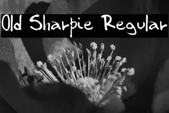 Old Sharpie Regular फ़ॉन्ट examples