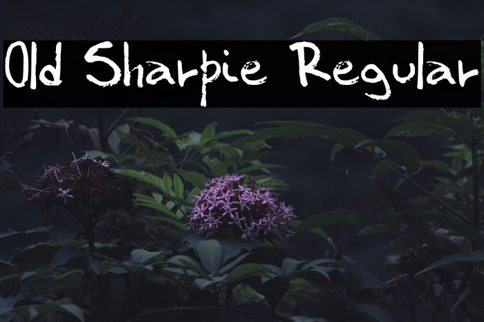 Old Sharpie Regular Example 3