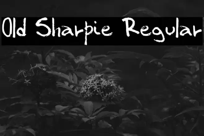 Old Sharpie Regular फ़ॉन्ट examples