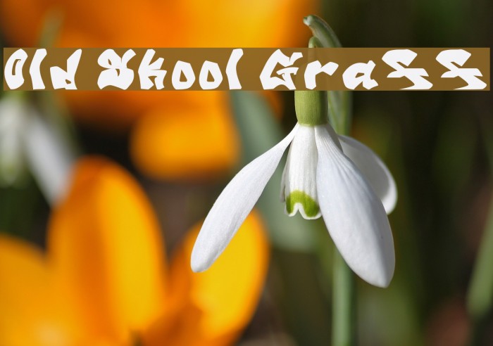 Old Skool Graff Font examples