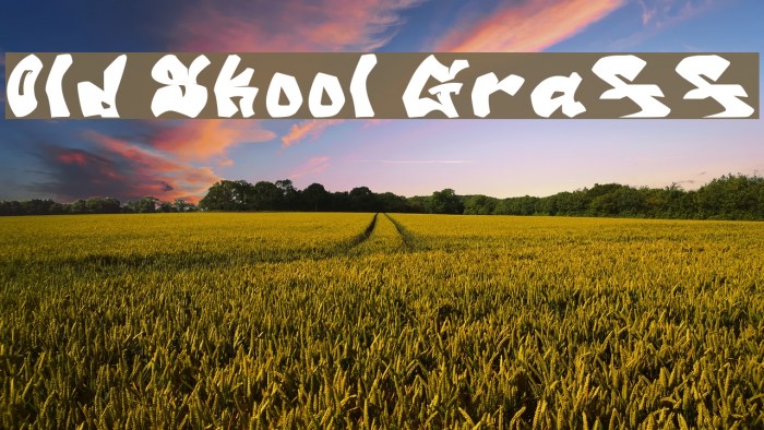 Old Skool Graff Font examples