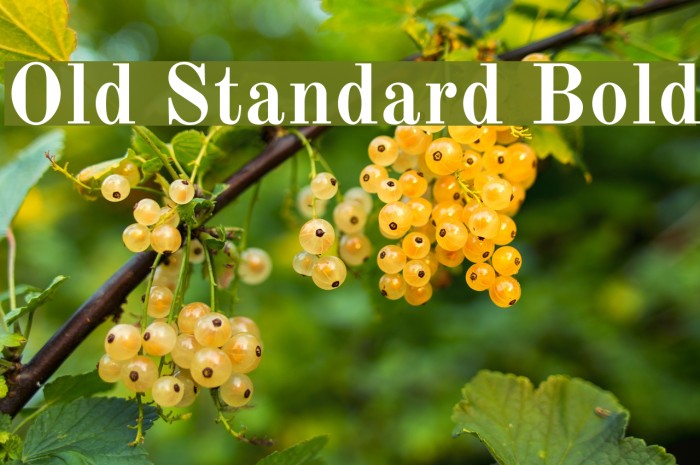Old Standard Bold Font examples