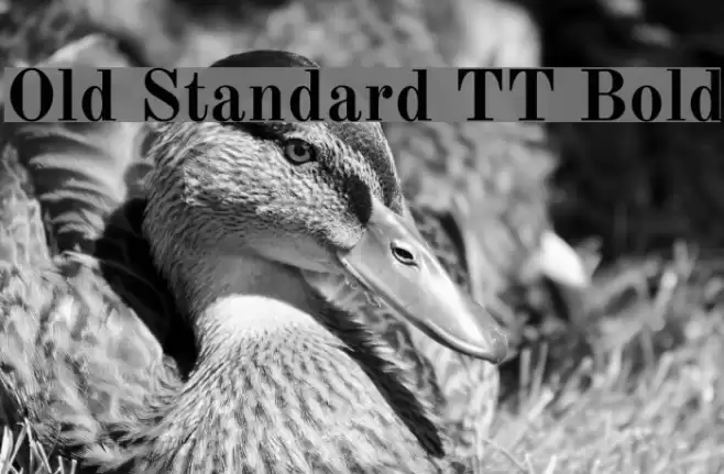 Old Standard TT Bold フォント examples