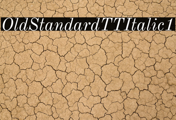 Old Standard TT Italic1 Example 1