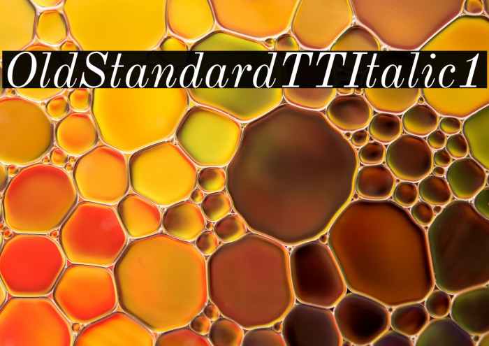 Old Standard TT Italic1 Example 2