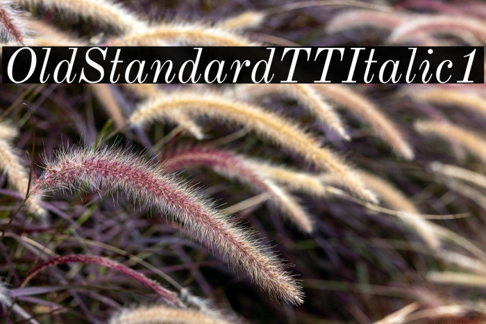 Old Standard TT Italic1 Example 3