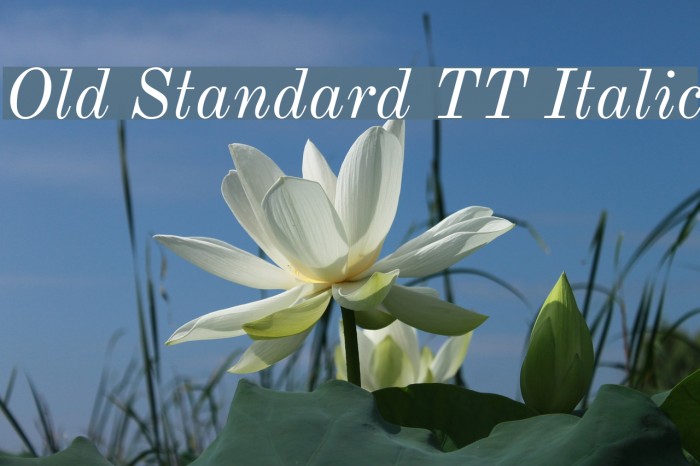 Old Standard TT Italic Font examples