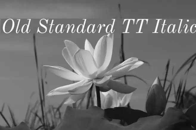 Old Standard TT Italic フォント examples