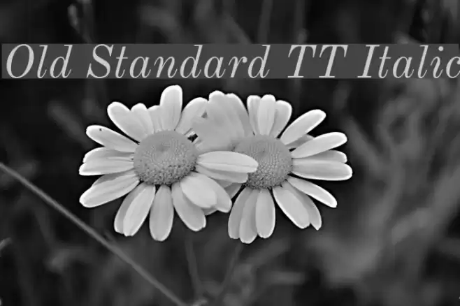 Old Standard TT Italic フォント examples