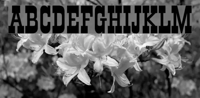 Old Town Font examples