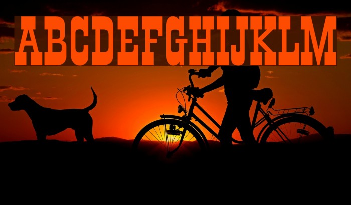 Old Town Font examples