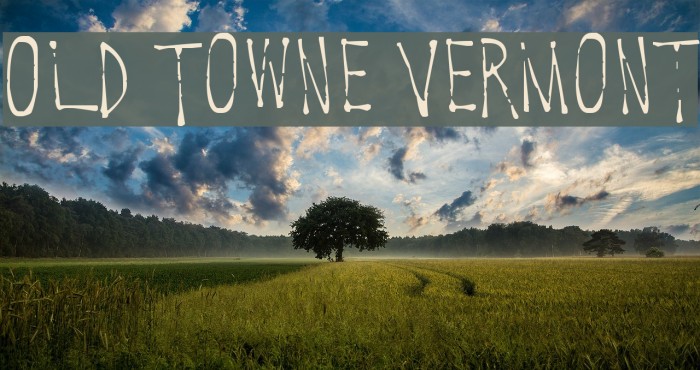 Old Towne Vermont Font examples