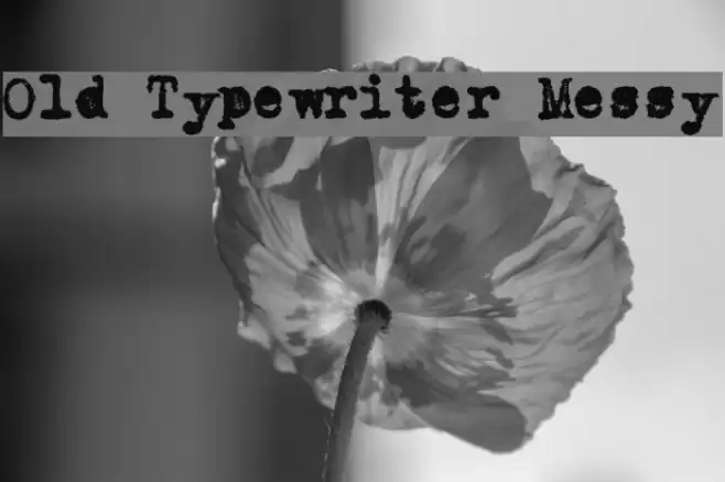 Old Typewriter Messy फ़ॉन्ट examples