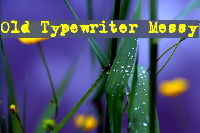 Old Typewriter Messy फ़ॉन्ट examples
